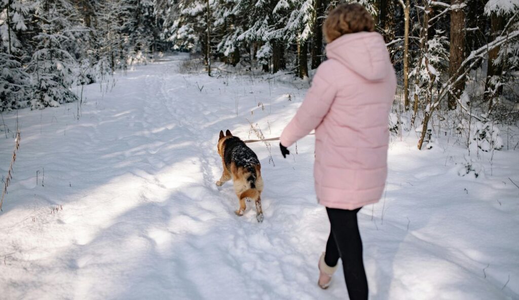 Aventures sur les sentiers d'hiver enneigés