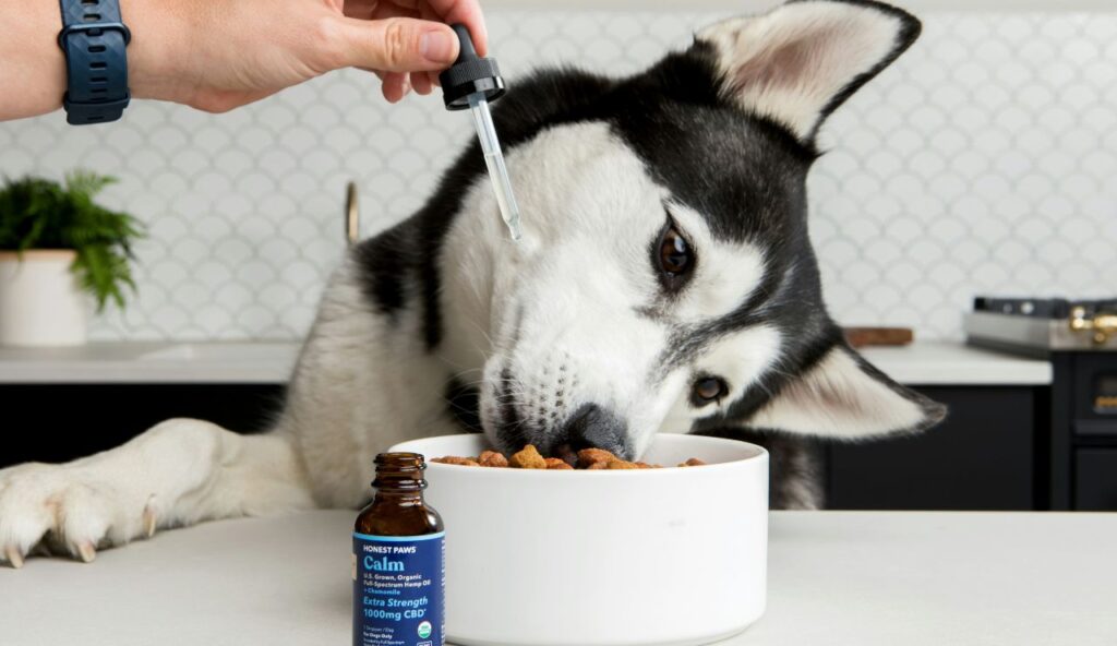 Essential oils, plug-ins, and scented products