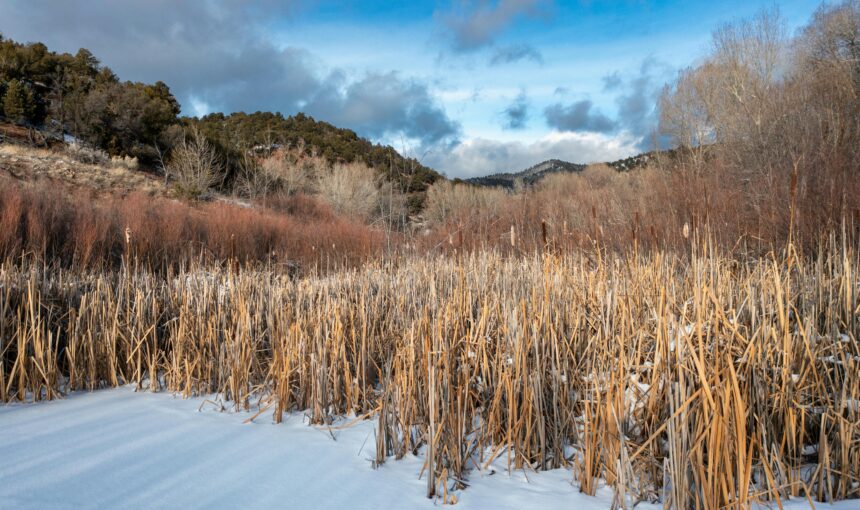 Stop the Burnout Spiral: 6 Deep-Travel Adventures Designed to Reset a Stressed Mind