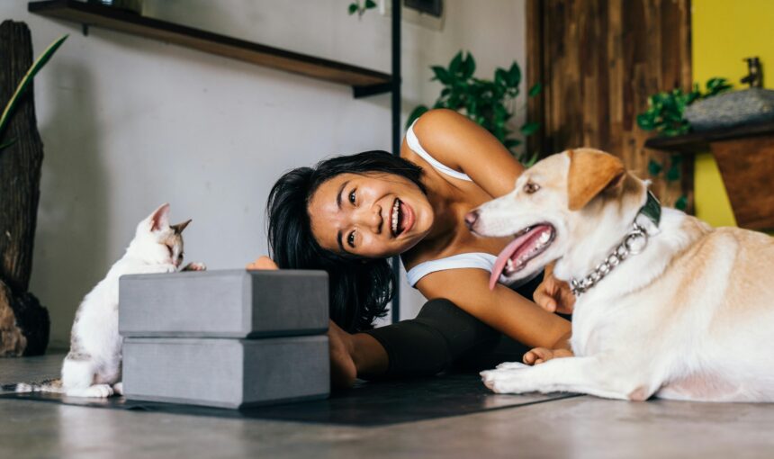 5 ways Vacation Routines Stress your Pet: Psychology Science most owners Miss