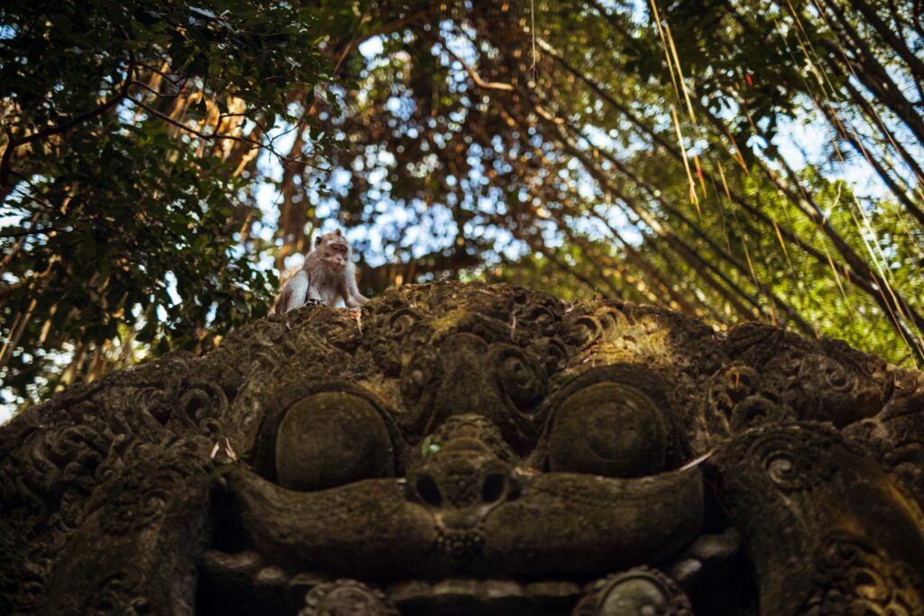 5 retraites internationales qui coûtent moins d'un week-end à New York – keepthetailwagging.com