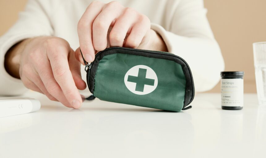 The Ultimate “Go-Bag”: 5 First-Aid Essentials Every Pet Traveler Should Have in the Glovebox