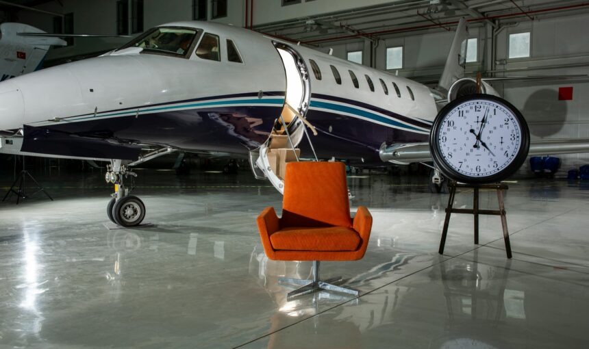 The Luxury Pet Jet Set: How People Are Traveling with Exotic Animals in 2026