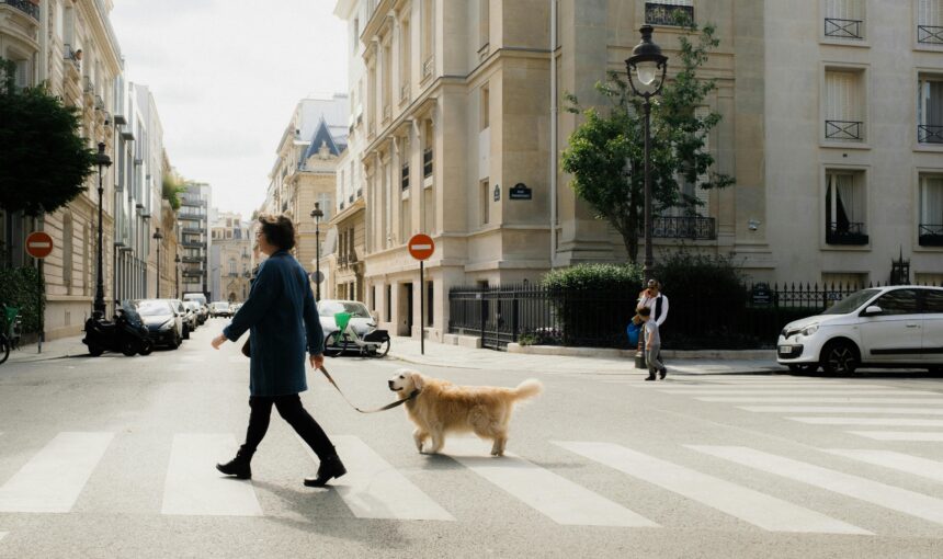 Is Your Breed Banned? 10 Surprising International Travel Laws for Pet Owners