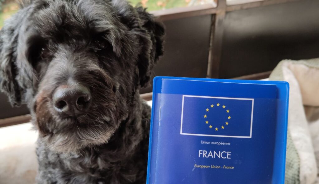 Pet Passports and Health Certificates