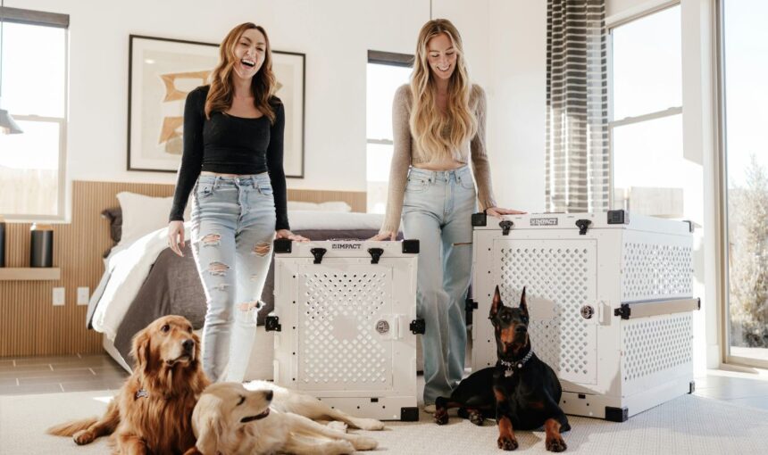 Air Tags Aren’t Enough: The New 2026 Smart-Safety Kit Every Pet Traveler Needs