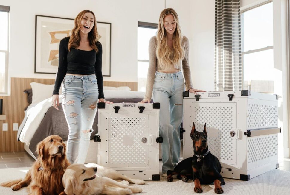 Air Tags Aren't Enough: The New 2026 Smart-Safety Kit Every Pet Traveler Needs