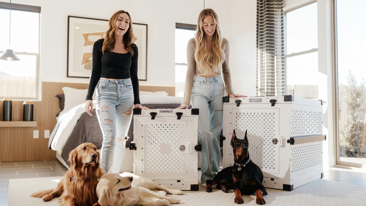 Air Tags Aren't Enough: The New 2026 Smart-Safety Kit Every Pet Traveler Needs