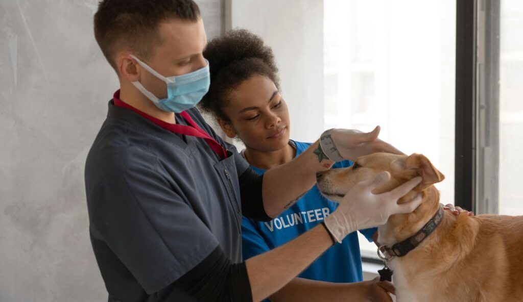 Moniteur de santé intelligent avec suivi vital