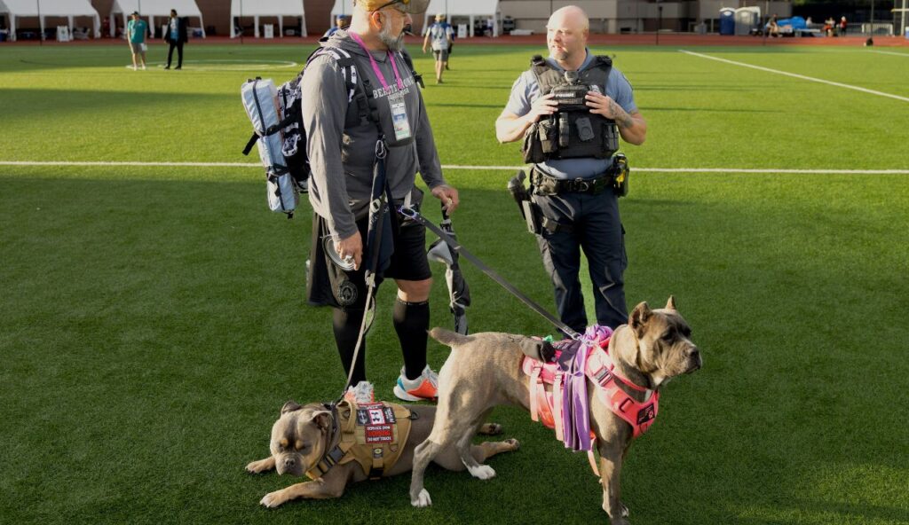 Professional Pet Relocation Service