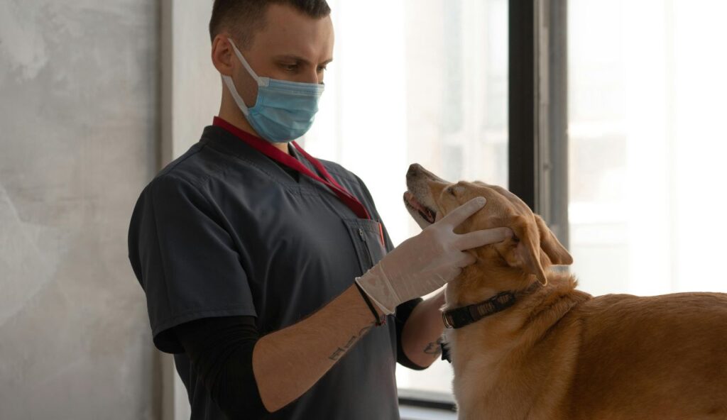 Insurance and Risk Mitigation Costs